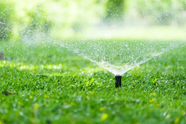 Watering Your Lawn