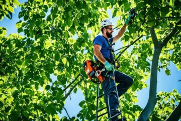 Trim Small Trees